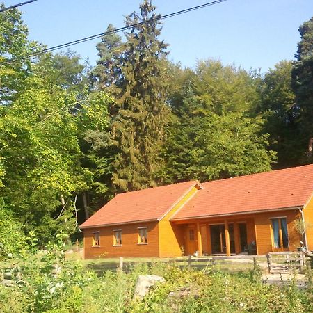 Vosges Chambres D'Hotes Jeanmenil Exterior photo